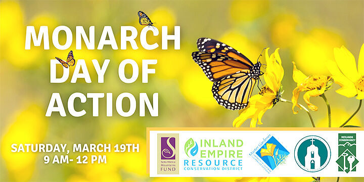 Monarch day